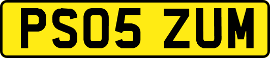 PS05ZUM