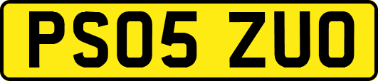 PS05ZUO