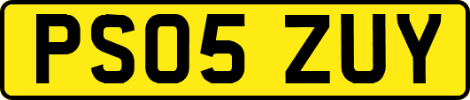 PS05ZUY
