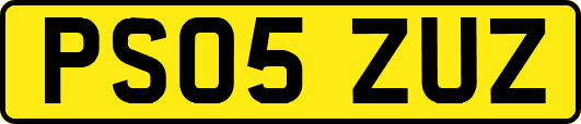 PS05ZUZ