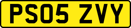 PS05ZVY