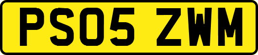 PS05ZWM