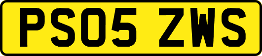 PS05ZWS