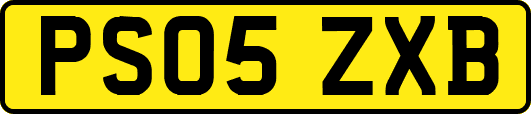 PS05ZXB