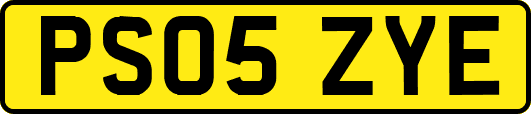 PS05ZYE