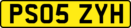 PS05ZYH