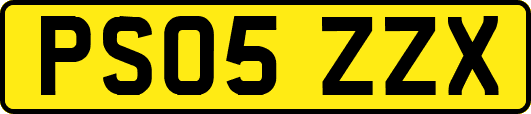 PS05ZZX