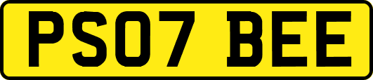 PS07BEE