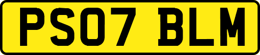 PS07BLM