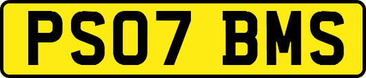 PS07BMS