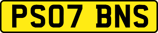 PS07BNS