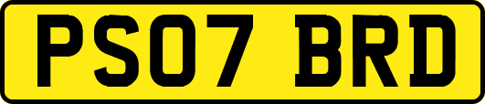 PS07BRD