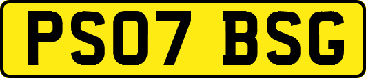 PS07BSG