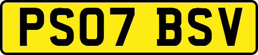 PS07BSV