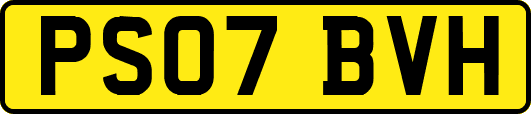PS07BVH