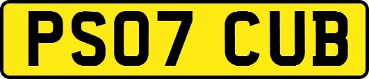 PS07CUB