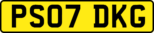 PS07DKG