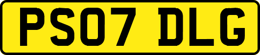 PS07DLG