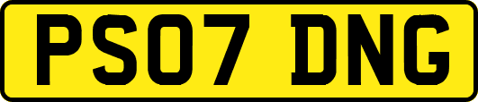 PS07DNG