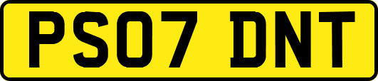 PS07DNT