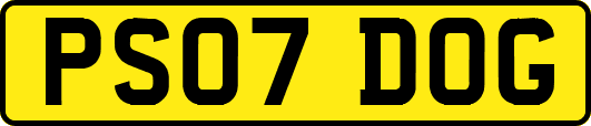 PS07DOG
