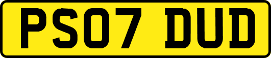 PS07DUD