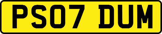 PS07DUM