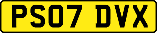 PS07DVX