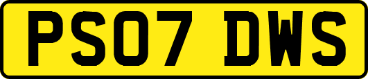 PS07DWS