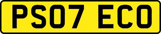 PS07ECO