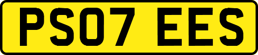 PS07EES
