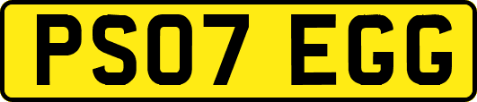 PS07EGG