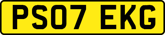 PS07EKG