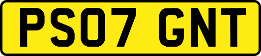 PS07GNT