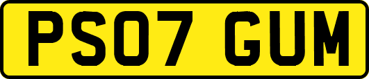 PS07GUM
