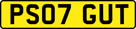PS07GUT