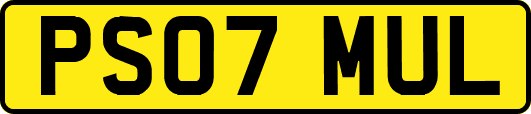 PS07MUL