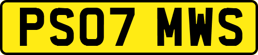 PS07MWS