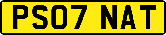 PS07NAT