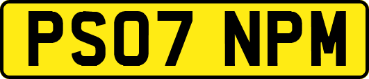 PS07NPM