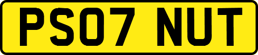 PS07NUT
