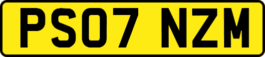 PS07NZM