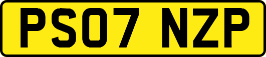 PS07NZP