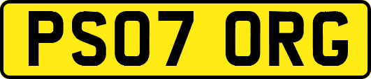 PS07ORG