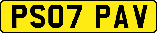 PS07PAV