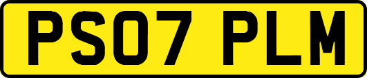 PS07PLM