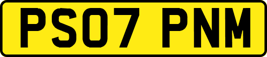 PS07PNM