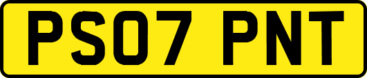 PS07PNT