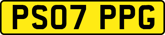 PS07PPG
