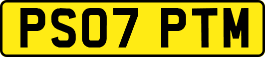 PS07PTM